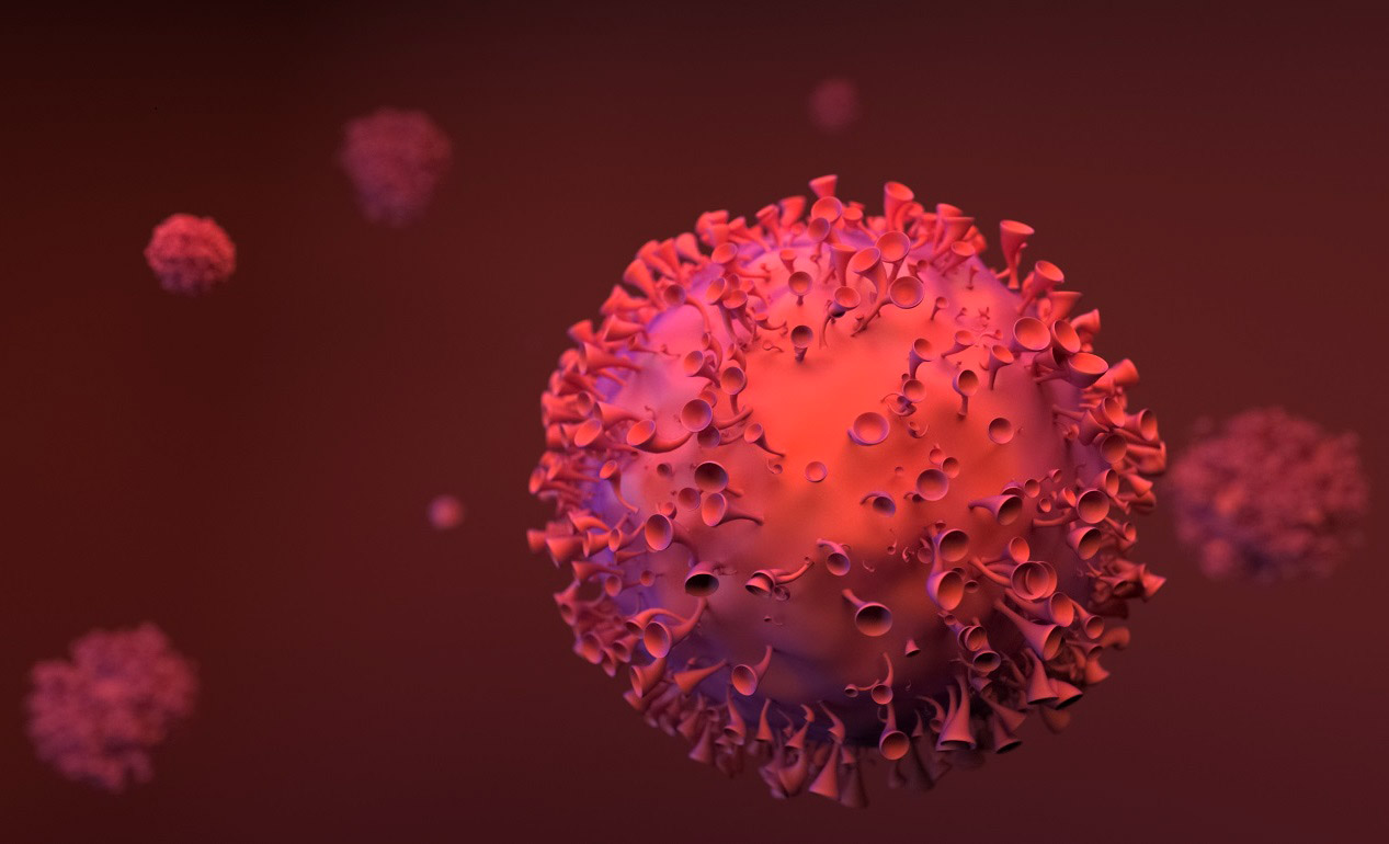 Ivexterm Precio Farmapronto